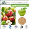 food additive apple polyphenol for sale