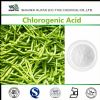 chlorogenic acid 98% in herbal extract