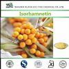 plant antioxidant isorhamnetin  in fruit extract