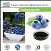 blueberry p.e. anthocyanidins powder